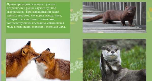 Сделаю презентацию в Москве фото 4