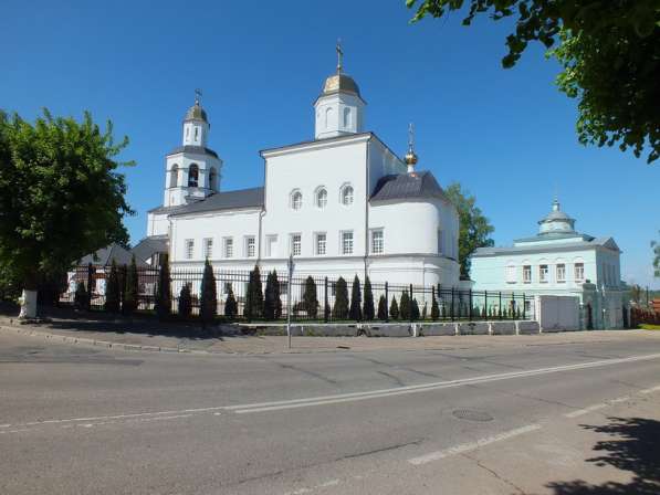 Экскурсии по Смоленску в Смоленске фото 29
