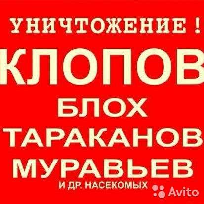 Уничтожение насекомых в Красноярске