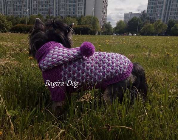 Свитера для собак ручной работы в Москве фото 9