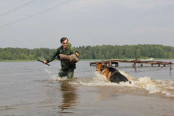 Дрессировка собак в Москве и Московской области в Москве фото 7