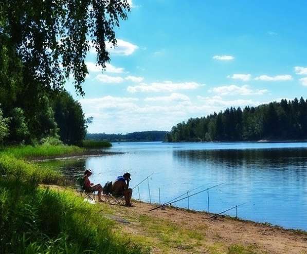 23 сотки, ЛПХ, рядом лес, водохранилище. Собственность в Рузе фото 9