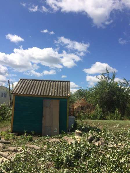 Спил деревьев в Москве фото 7