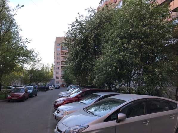 Сдается однокомнатная квартира Чекистов 38 в Санкт-Петербурге фото 16