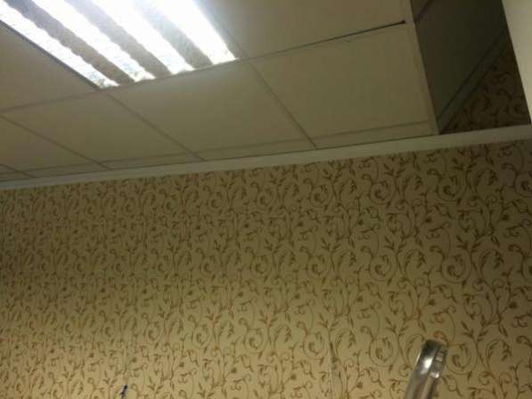 Поклейка обоев.Покраска. в Москве фото 4