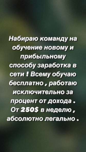 В поисках партнеров для совместного заработка в сети