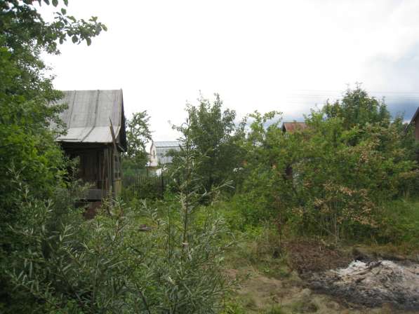 Дача, рядом лес, пруд для купания и рыбалки, Дешево в Серпухове фото 6
