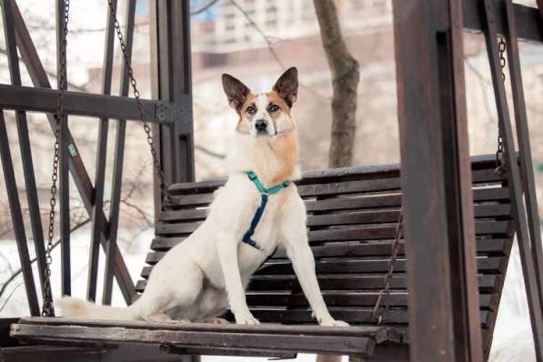 Тунис в поисках любящей семьи в Москве фото 28