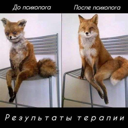 Психолог