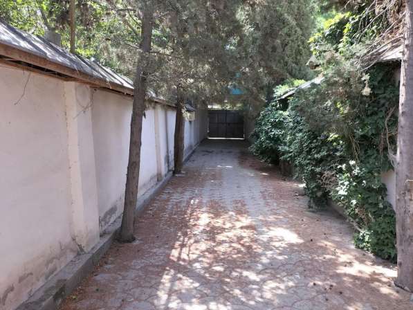 Гостиница Россия 5,5 сот в фото 11