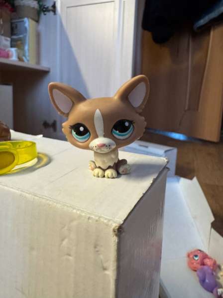 LPS в Рязани фото 3