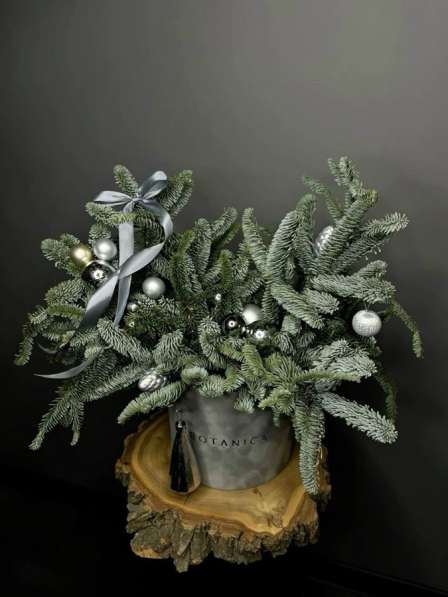 Новогодние композиции из нобилиса в Москве фото 8