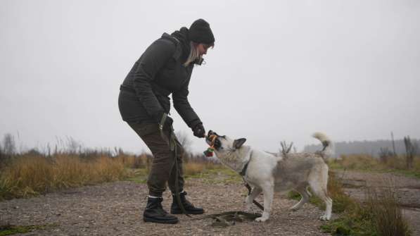 Суперактивная Халва в Москве фото 59