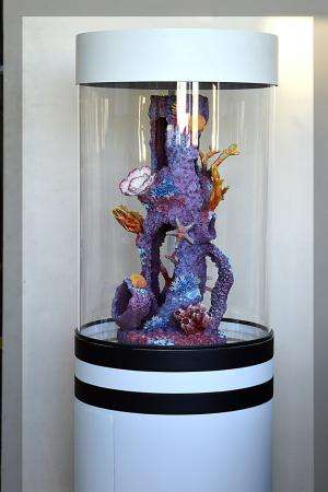 Аквариумные украшения, коралловые рифы в Челябинске фото 10