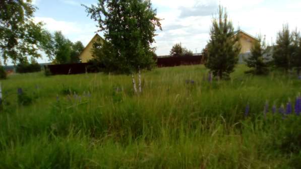 Земельный участок в деревне Дворищи в Киржаче фото 4