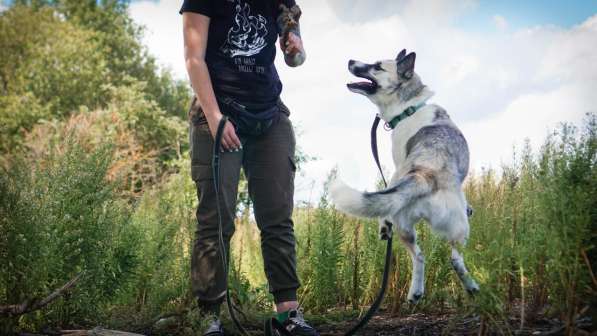 Суперактивная Халва в Москве фото 51