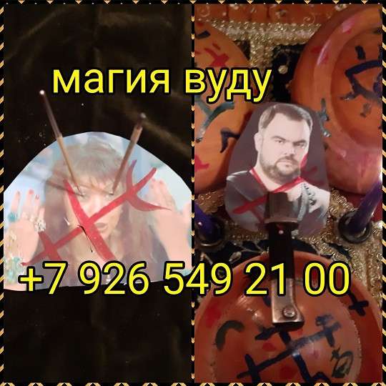 Книга в Сочи фото 14