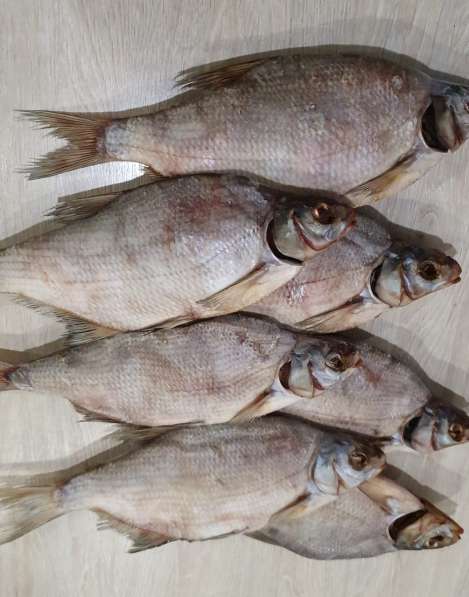 Вяленая рыба оптом! в Славянске-на-Кубани фото 5