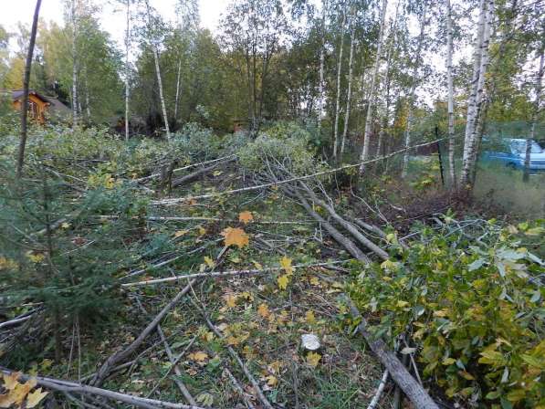 СПИЛ ДЕРЕВЬЕВ, КУСТОВ, ПОКОС ТРАВЫ, ИТД. ВСПАШКА ЗЕМЛИ в Омске фото 9
