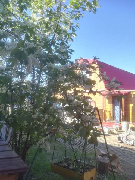 Продаю дом благоустроенный, гараж 200 кв, в городе Якутске в Якутске