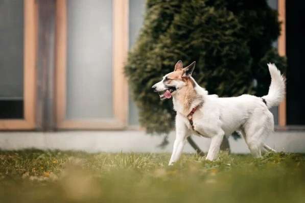 Тунис в поисках любящей семьи в Москве фото 14
