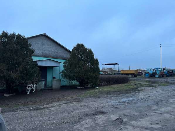 Агрохозяйство 452 гектара, Старобешево в фото 3