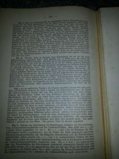 Книга по медицине за 1903г в Санкт-Петербурге фото 4