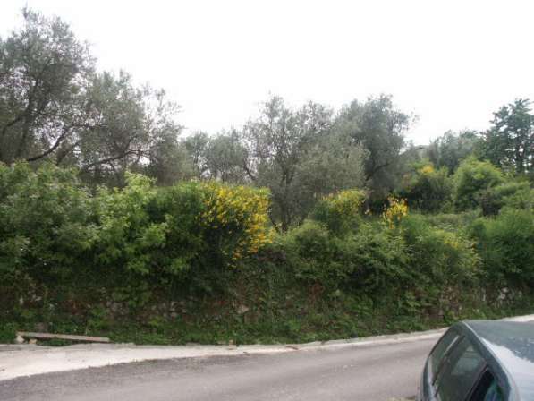 Земля в Черногории в Самаре фото 6