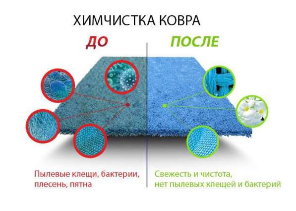 Химчистка ковролина