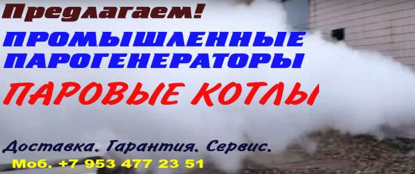 Парогенераторы. Паровые котлы в Москве фото 19