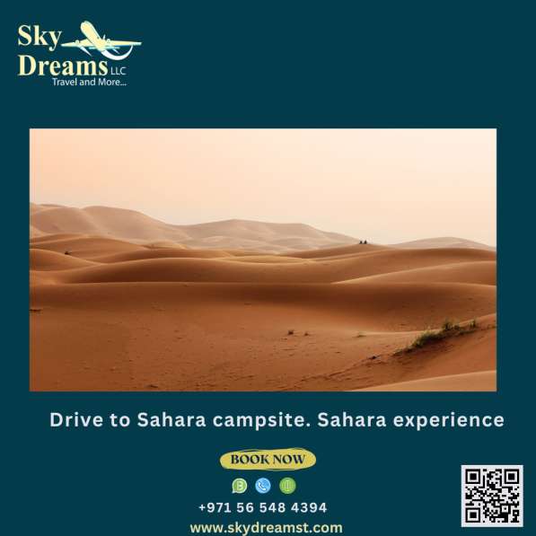 Дубай Сафари каждый день в фото 3