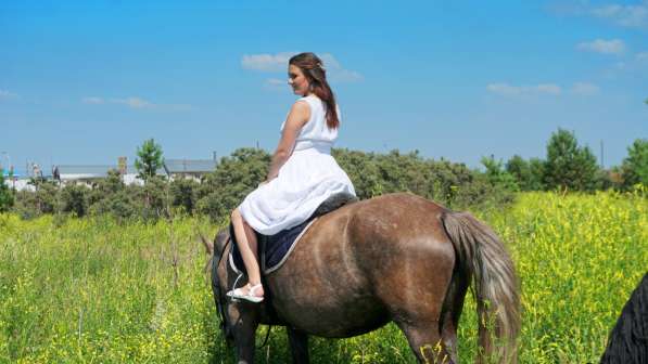 Конная прогулка в Красноярске фото 16