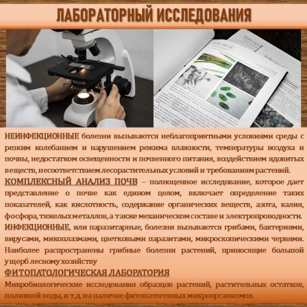 СИСТЕМА УПРАВЛЕНИЯ ФИТОСАНИТАРНЫМ СОСТОЯНИЕМ ЭКОСИСТЕМ в Сочи фото 38