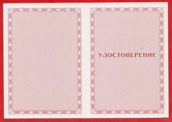 Орденский знак «А. И. Дутов» с документом в Орле фото 10