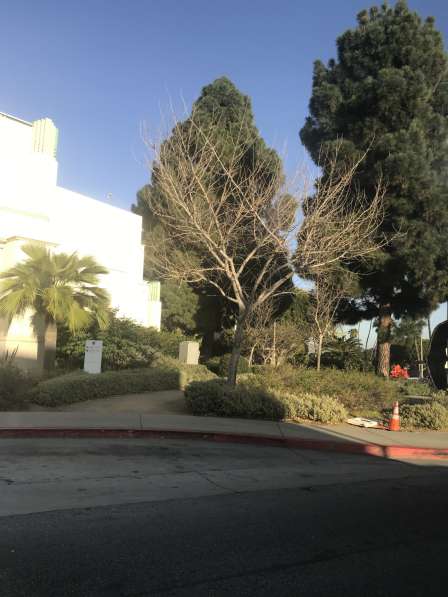 Доставим груз из Китая в Благовещенске фото 3