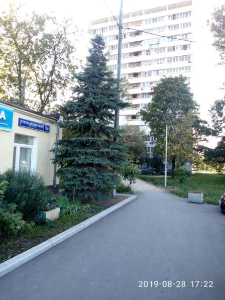1 комнатная квартира в Москве фото 11