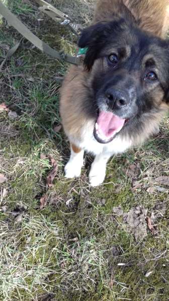 Дина хочет домой в Москве фото 3