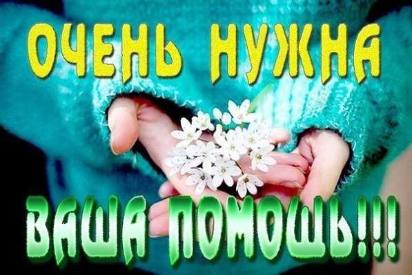 Приму в дар