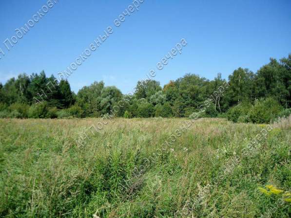 realty_mapper3.plot_in_locationИндивидуальное жилищное ст-во. Площадь 30.00 сот.Есть Электричество. в Москве фото 19