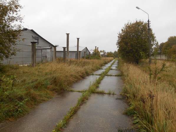 Птицефабрика действующая продажа в Москве