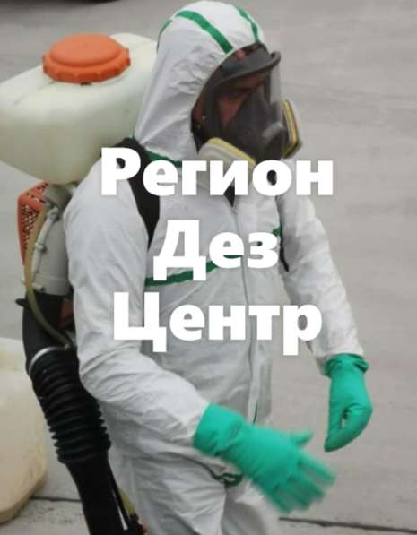 Дератизация. Уничтожение грызунов