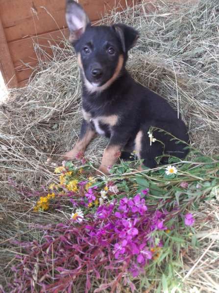 Кто искал счастье? Вы его нашли в Москве