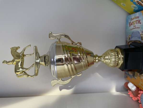 Кубок с лошодью