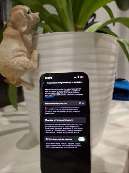 Apple iPhone 13 в Новосибирске