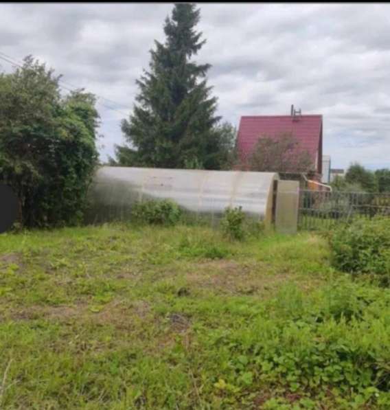 Дача СНТ ФИАЛКА в Омске фото 9