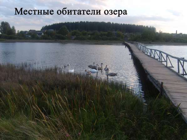 Продам жилой кирпичный дом на берегу озера. Беларусь в фото 15