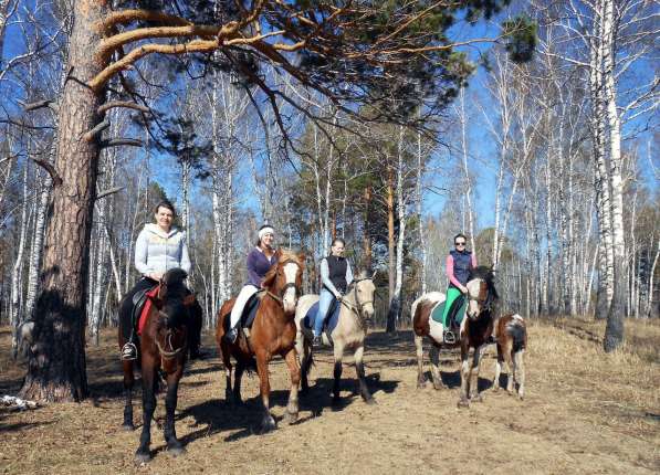 Конные прогулки в Красноярске