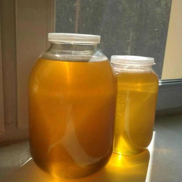 Продам мед со своей пасеки в Красноярске
