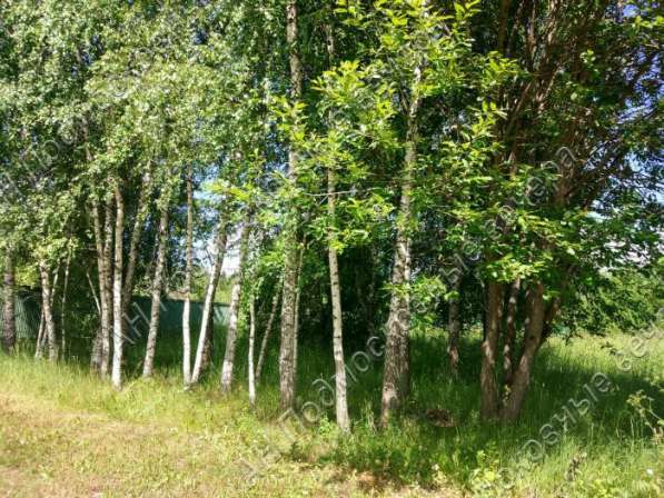 realty_mapper3.plot_in_locationСадовое некоммерческое тов-во. Площадь 10.00 сот.Есть Электричество. в Москве