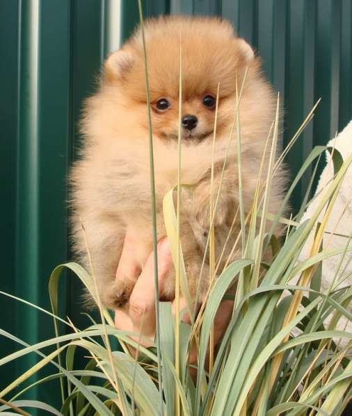 Ищем самые лучшие ручки